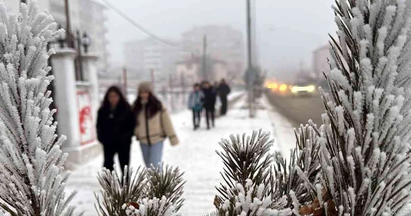 Soğuk hava dalgası yurdu sardı: Burası Sibirya değil Türkiye: Eksi 23 derece görüldü!