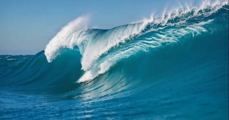 Okyanusun derinliklerinde ilk kez eşsiz bir dev yaratık keşfedildi: Kolları 10 metreyi geçiyor Sözcü Gazetesi