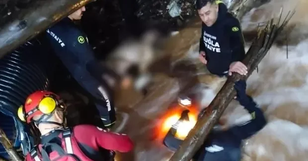 Muğla haberleri Arkadaşının sözünü dinlemedi, sonu acı oldu! Muğla da feci olay 06 Şubat 2026