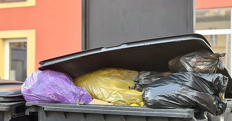 Sakın çöpe atmayın: Kışın biriktirip yazın ziyafet çekiyorlar Sözcü Gazetesi