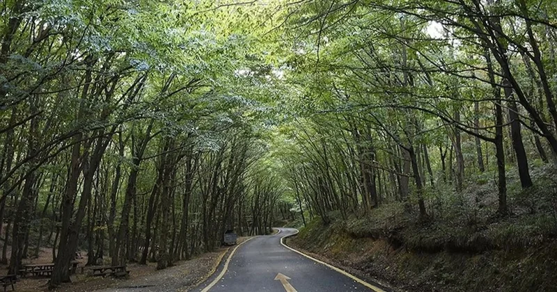 Atatürk’ten esirgediler ranta açtılar Sözcü Gazetesi