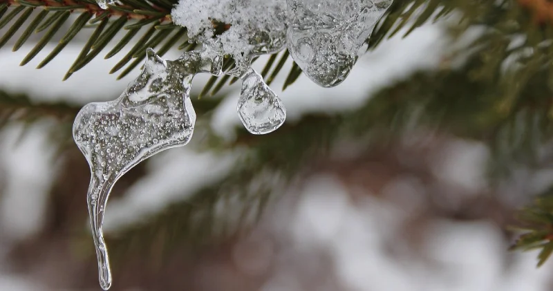 Hafta sonuna dikkat; birçok kentte yağmur ve yoğun kar yağışı bekleniyor