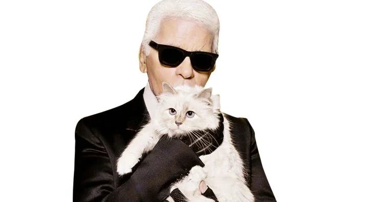 Dev miras davalık oldu! Kedisine servet bıraktı