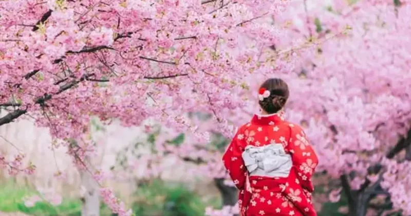 Japonya nın simgesi olan festival aşırı turizm nedeniyle iptal edildi