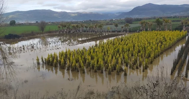 Sağanak yağış Ödemiş te zarara neden oldu Tarlalar, süs bitkisi bahçeleri sular altında kalırken, evleri ve hayvan damlarını su bastı İzmir Haberleri