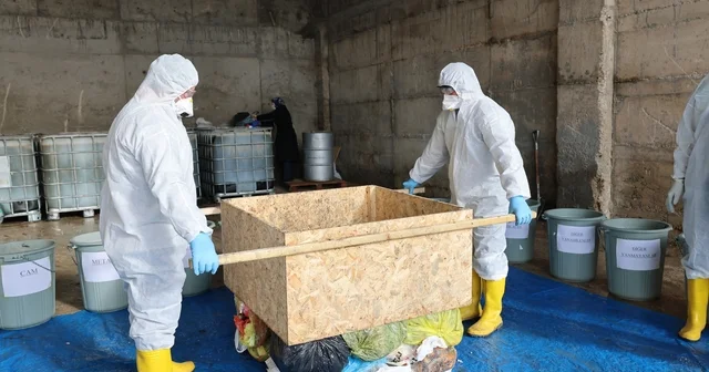 Tokat ta 2026 yılı kış dönemi atık karakterizasyonu çalışması başladı Tokat Haberleri