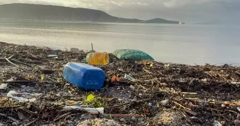 Bodrum da selin boyutu gün ağarınca ortaya çıktı! 2 saat yağdı, yıkıp geçti! Evlerden tahliye edildiler