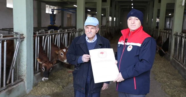 Hayvancılıkta örnek işletmenin Hastalıktan Ari Sertifikası yenilendi Eskişehir Haberleri