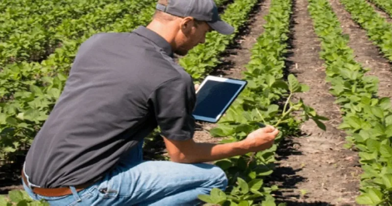 Yapay zeka küçük çiftliklerin kurtuluşu mu olacak? Bitki sağlığından haşere kontrolüne tam dönüşüm