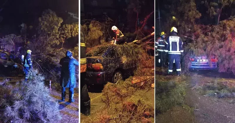 Aydın’da seyir halindeki otomobilin üzerine ağaç devrildi; çift yaralandı