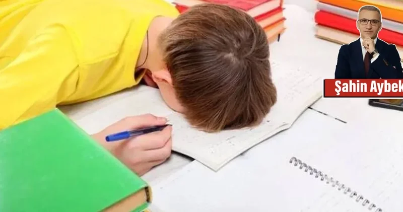 Ev ödevlerinin tarihsel seyri ve bugünü