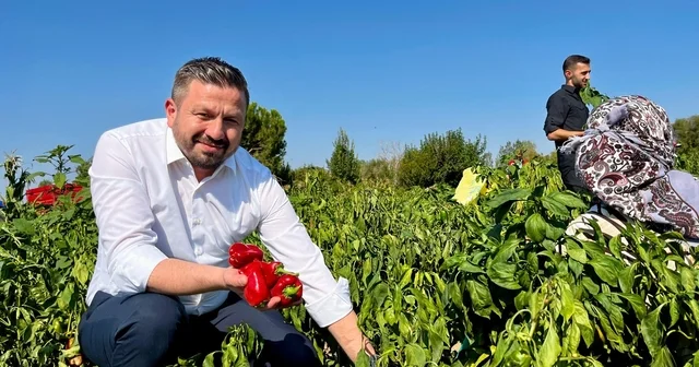 Başkan Aydemir den, Balıkesir çiftçisine 867 milyon TL lik müjde Balıkesir Haberleri