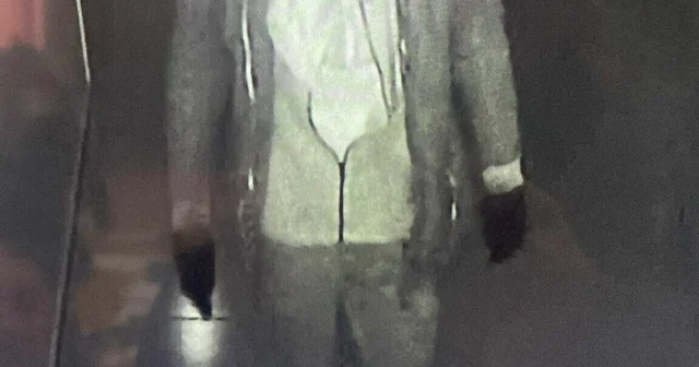 İzmir de ilkokul ile Bilim ve Sanat Merkezi nden hırsızlık yapan şüpheli tutuklandı İzmir Haberleri