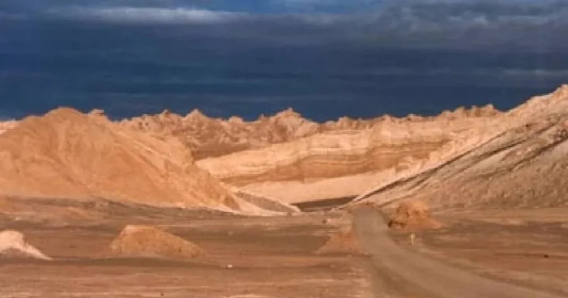 Ölü sanılan toprak canlandı: Dünyanın en kurak çölünde yaşam keşfedildi Sözcü Gazetesi