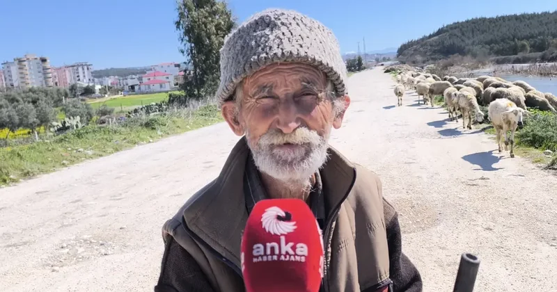 Ameliyatlı haliyle besicilik yapan Ömer amcanın sözleri yüreklere dokundu