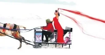 YAVUZ DONAT Hayat... İşte böyle bir şey