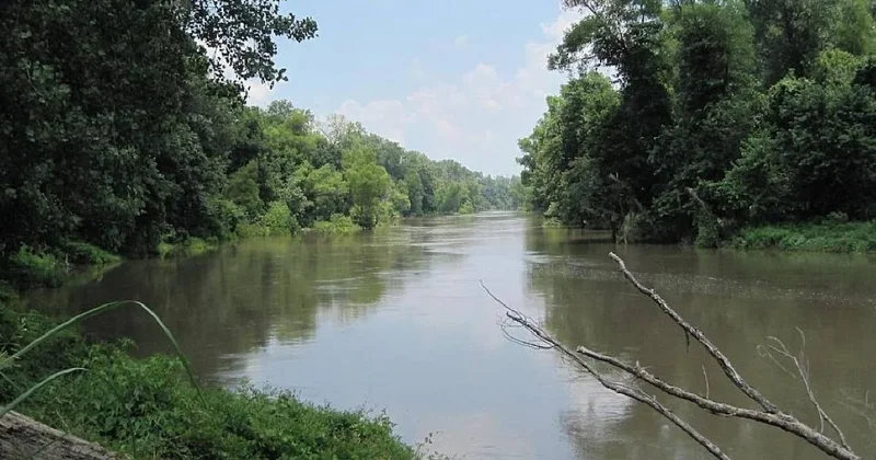 31 bölgeyi birbirine bağlıyor: Dev nehrin dibinde tarih öncesi gizemli yaratık görüntülendi Sözcü Gazetesi