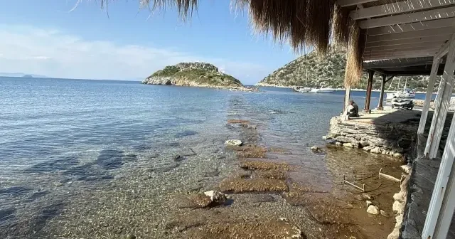 Bodrum’da denizin çekilmesiyle tarihi surlar ortaya çıktı VİDEO İZLE