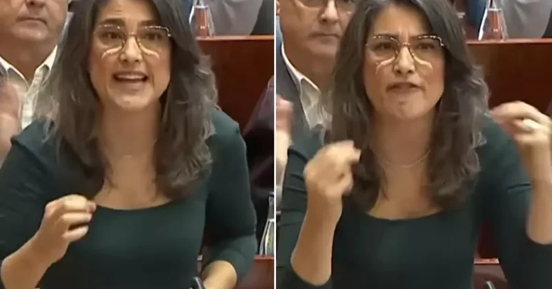 İspanyol siyasetçiden mecliste hafızalardan uzun süre silinmeyecek konuşma