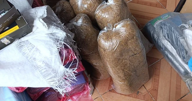 Kastamonu da 99 bin 560 makaron ele geçirildi, 4 zanlı yakalandı Kastamonu Haberleri