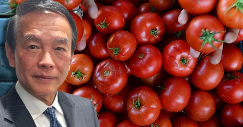 Milyarlarca lirayla oynuyordu: Şimdi domates üretecek Sözcü Gazetesi