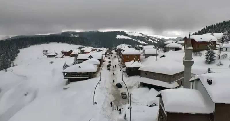 Giresun yaylalarında görsel şölen