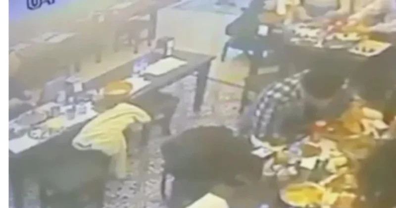 Şişli de ocakbaşı rezaleti: Yemekten çıkan böcek müşterinin dudağını ısırdı! Sözcü Gazetesi