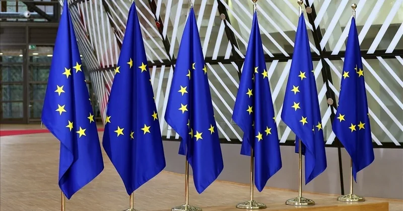 AB Komisyonu ndan İran ın Türkiye de ve Azerbaycan daki İHA saldırılarına kınıma