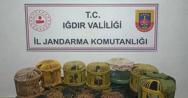 Kaçak keklik avcılarına 175 bin lira ceza Iğdır Haberleri