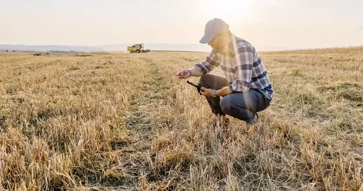 Tarım sigortasında yeni dönem