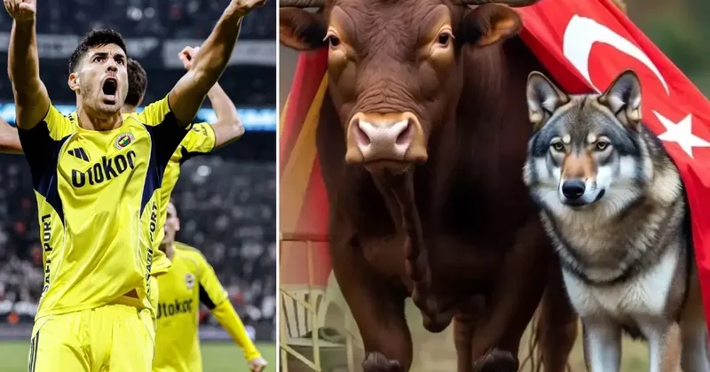 Marco Asensio da olan bitene kayıtsız kalamadı