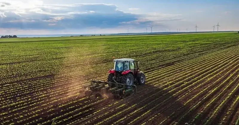 Çiftçi merakla bekliyordu! 12 milyar 311 milyon lira...