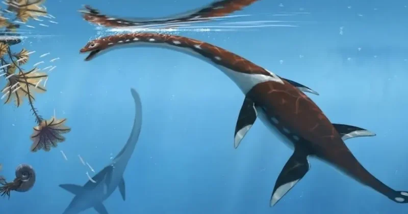 183 milyon yıllık deniz canavarı keşfedildi