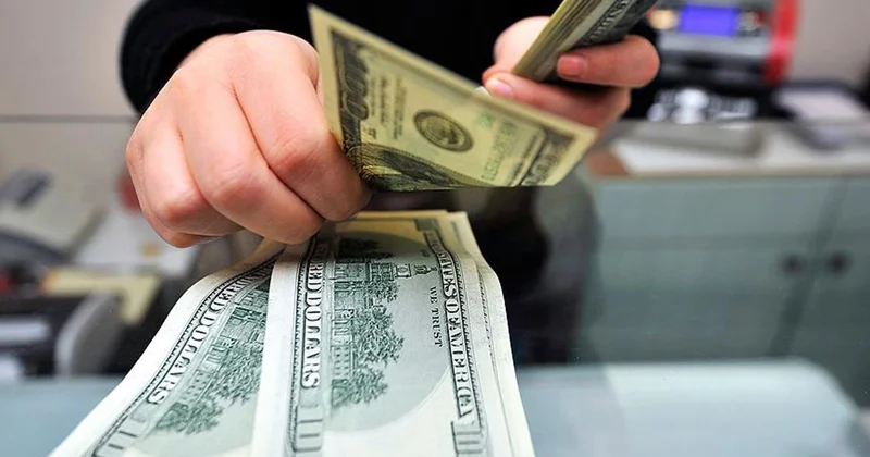 Merkez in müdahalesi dolardaki yükselişi frenledi