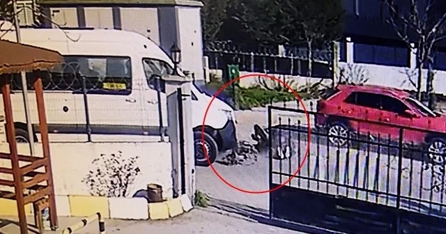 Okul servisine çarpmamak için motosikletten düşüp metrelerce savruldular: O anlar kamerada Tekirdağ Haberleri