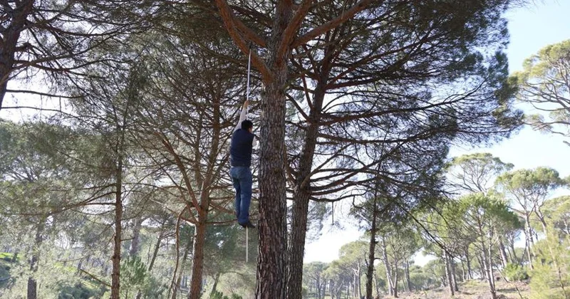 “Örümcek Adamları” iş başında
