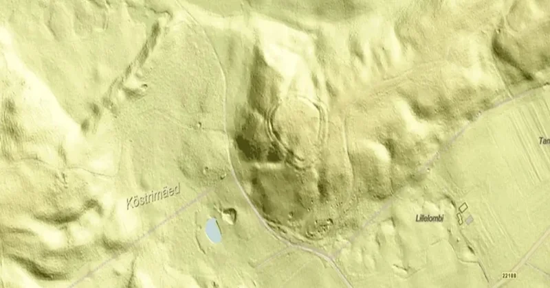 Bitki örtüsünün altında dev keşif Sözcü Gazetesi