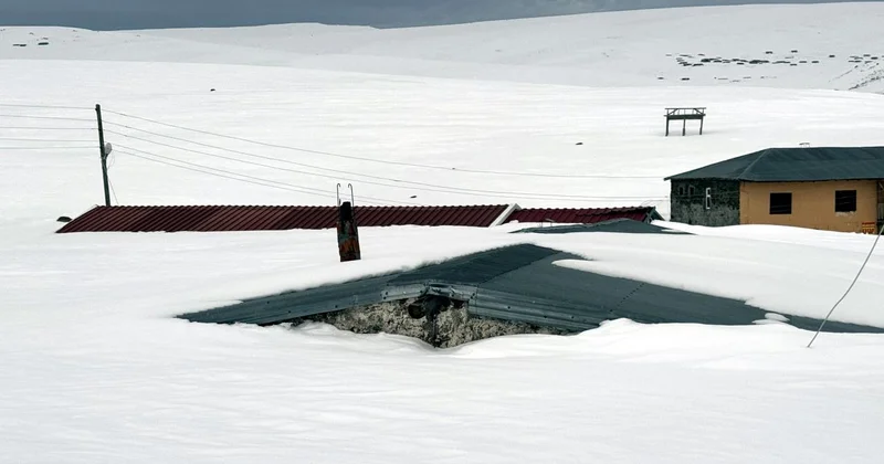 Ardahan da yayla evleri kar altında kaldı