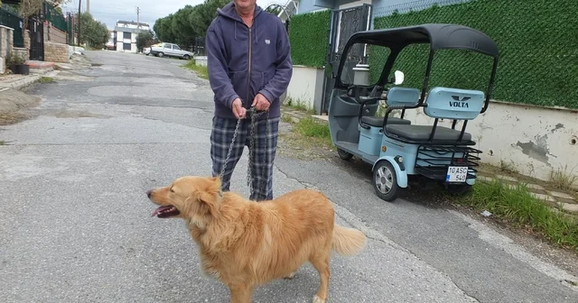 Burhaniyeli emlakçının hayvan sevgisi takdir topladı Balıkesir Haberleri