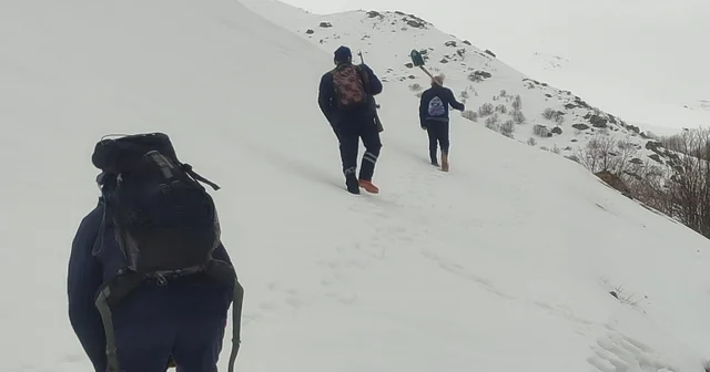 Bayburt ta ayı saldırılarının yaşandığı yaylada ulaşım sorunu sürüyor Bayburt Haberleri