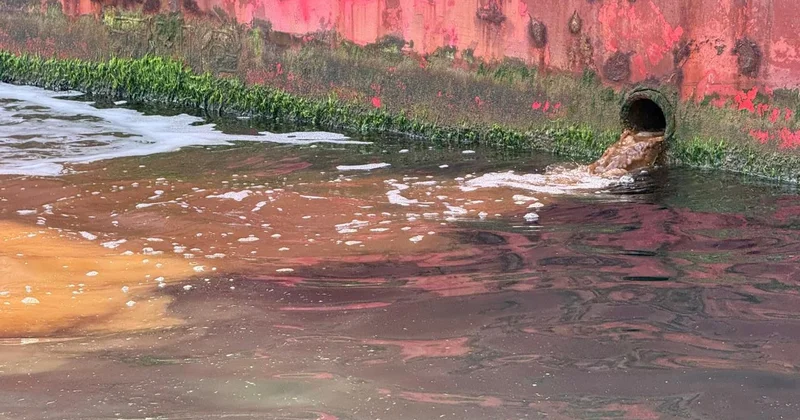 Deniz kirliliğine sıkı denetim: Milyonluk ceza yağdı