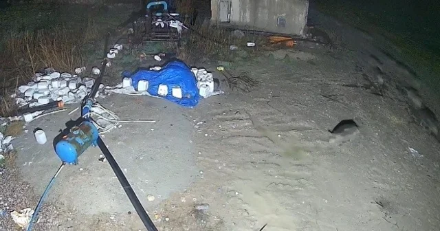 Konya da domuz sürüsü yerleşim alanına indi Konya Haberleri