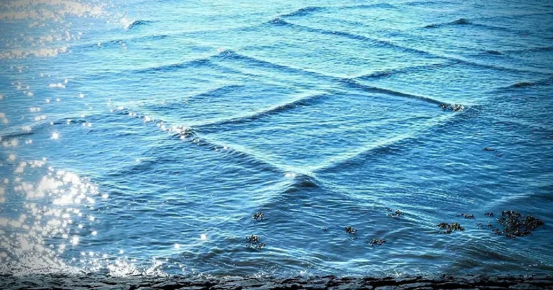 Su yüzeyi birden karelere bölündü: Gördüğünüz gibi kaçın Sözcü Gazetesi