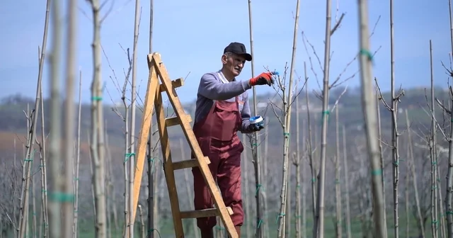Kestel de bahar mesaisi Kestel de bahar öncesi temizlik ve peyzaj çalışması başlatıldı Bursa Haberleri
