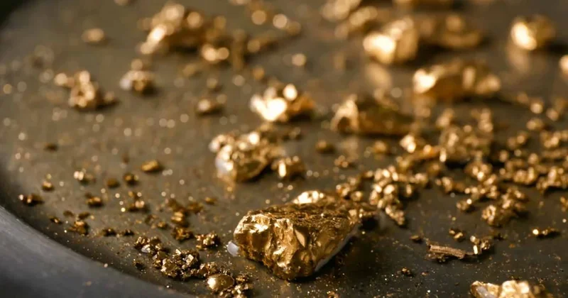 15 yıllık tesisatçı 90 saniyede kaçırıyordu: İpi çekince tam 2,4 milyon doların sahibi oldu! Sözcü Gazetesi