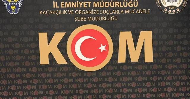 Tarihi eser operasyonunda bir kişi gözaltına alındı Afyonkarahisar Haberleri