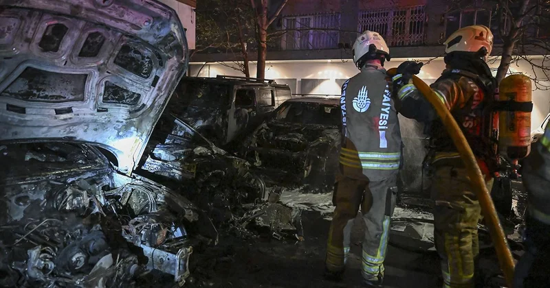 Bir araç yandı, 14 lüks araç kül oldu