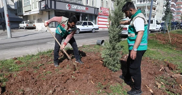 Haliliye de yaz öncesi parklarda hummalı çalışma Şanlıurfa Haberleri
