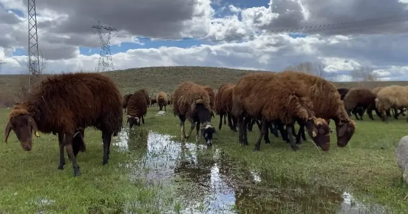 120 bin lira maaş veriyorlar ama kimse kabul etmiyor!