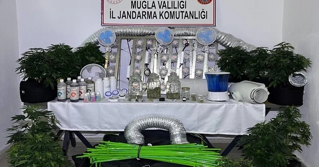 Muğla Jandarmasından zehir tacirlerine Mart ayı darbesi: 173 gözaltı Muğla Haberleri